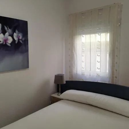 Bajo Al Lado Del Ayuntamiento Apartment