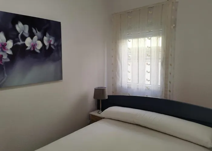 Bajo Al Lado Del Ayuntamiento Apartment